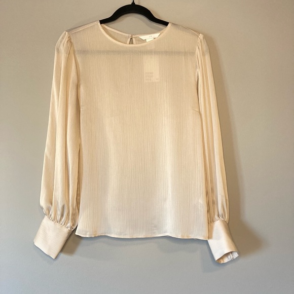 NWT H&M Blouse Sheer Ivory S Career Sexy. - Picture 1 of 10